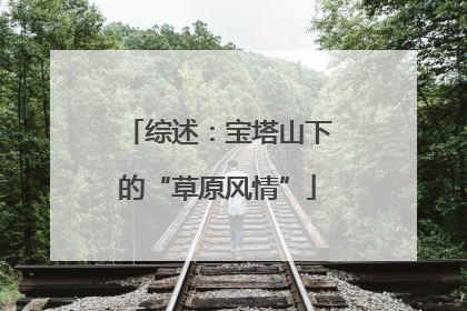 综述：宝塔山下的“草原风情”