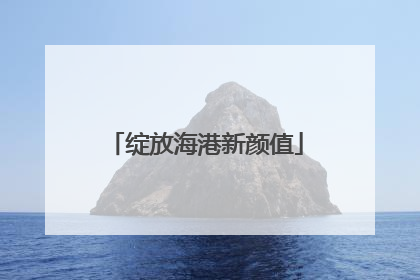 绽放海港新颜值