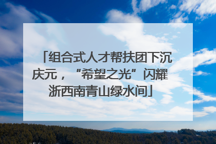 组合式人才帮扶团下沉庆元，“希望之光”闪耀浙西南青山绿水间