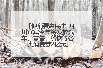促消费惠民生 四川宜宾今年将发放汽车、零售、餐饮等各类消费券2亿元