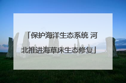 保护海洋生态系统 河北推进海草床生态修复