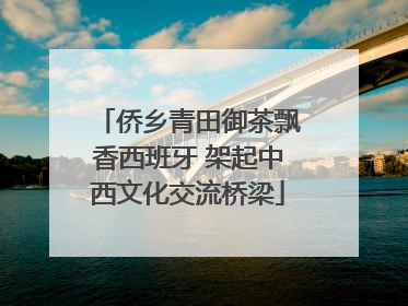 侨乡青田御茶飘香西班牙 架起中西文化交流桥梁