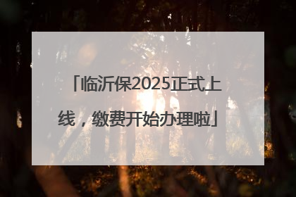 临沂保2025正式上线，缴费开始办理啦