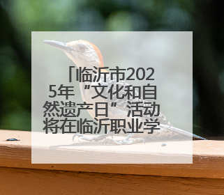 临沂市2025年“文化和自然遗产日”活动将在临沂职业学院举行