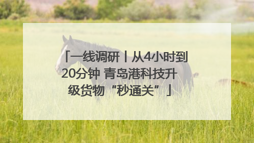 一线调研丨从4小时到20分钟 青岛港科技升级货物“秒通关”