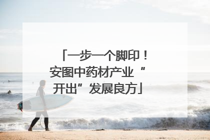 一步一个脚印！安图中药材产业“开出”发展良方