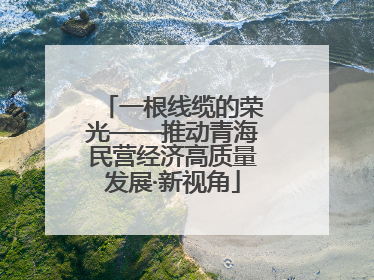 一根线缆的荣光——推动青海民营经济高质量发展·新视角