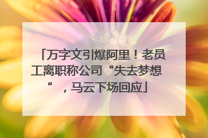 万字文引爆阿里！老员工离职称公司“失去梦想”，马云下场回应