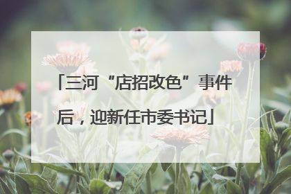三河“店招改色”事件后，迎新任市委书记