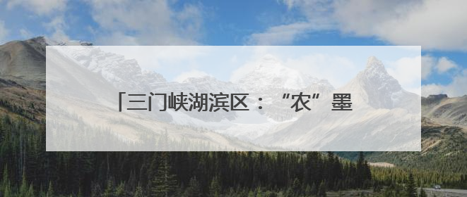 三门峡湖滨区：“农”墨重彩绘就乡村振兴新画卷