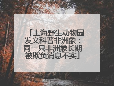 上海野生动物园发文科普非洲象：同一只非洲象长期被欺负消息不实