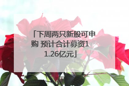 下周两只新股可申购 预计合计募资11.26亿元