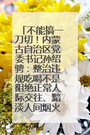 不能搞一刀切！内蒙古自治区党委书记孙绍骋：整治违规吃喝不是阻绝正常人际交往、黯淡人间烟火