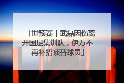 世预赛｜武磊因伤离开国足集训队，伊万不再补招顶替球员