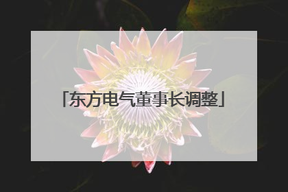 东方电气董事长调整