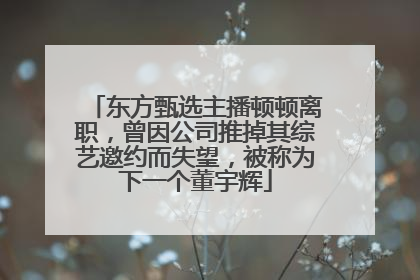 东方甄选主播顿顿离职，曾因公司推掉其综艺邀约而失望，被称为下一个董宇辉