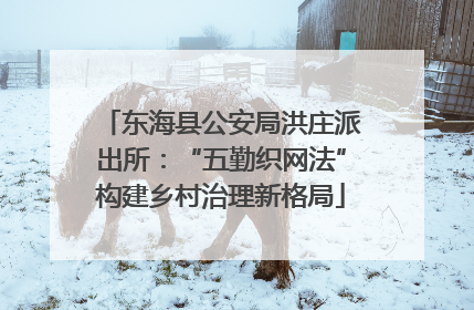 东海县公安局洪庄派出所：“五勤织网法”构建乡村治理新格局