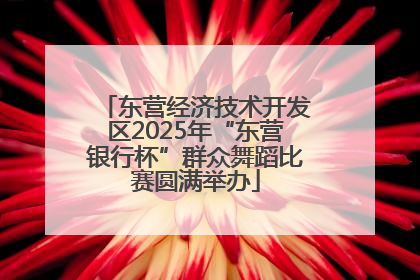 东营经济技术开发区2025年“东营银行杯”群众舞蹈比赛圆满举办