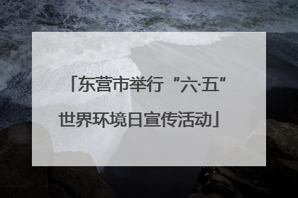 东营市举行“六·五”世界环境日宣传活动