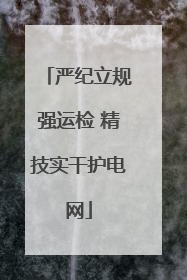 严纪立规强运检 精技实干护电网