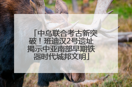 中乌联合考古新突破！班迪汉2号遗址揭示中亚南部早期铁器时代城邦文明