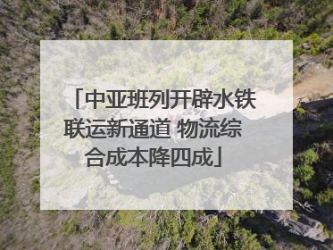 中亚班列开辟水铁联运新通道 物流综合成本降四成