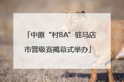 中原“村BA”驻马店市晋级赛揭幕式举办