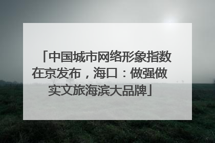 中国城市网络形象指数在京发布，海口：做强做实文旅海滨大品牌