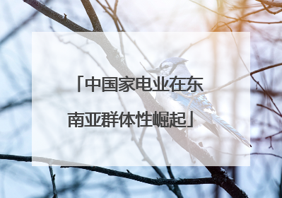 中国家电业在东南亚群体性崛起