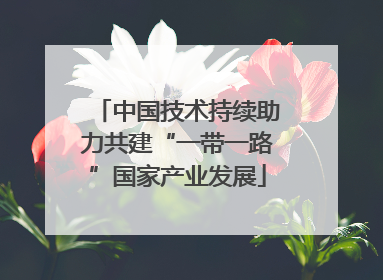 中国技术持续助力共建“一带一路”国家产业发展