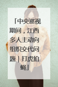 中央巡视期间，江西多人主动向组织交代问题｜打虎拍蝇