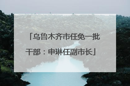 乌鲁木齐市任免一批干部：申琳任副市长