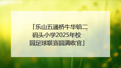 乐山五通桥牛华镇二码头小学2025年校园足球联赛圆满收官
