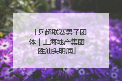 乒超联赛男子团体｜上海地产集团胜汕头明润