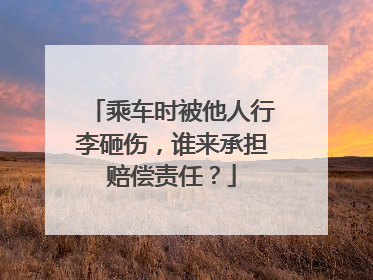 乘车时被他人行李砸伤，谁来承担赔偿责任？