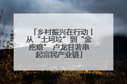乡村振兴在行动丨从“土坷垃”到“金疙瘩” 卢龙甘薯串起富民产业链