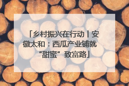 乡村振兴在行动丨安徽太和：西瓜产业铺就“甜蜜”致富路