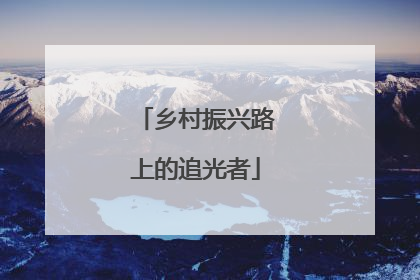 乡村振兴路上的追光者