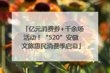 亿元消费券+千余场活动！“520”安徽文旅惠民消费季启幕