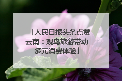 人民日报头条点赞云南：观鸟旅游带动多元消费体验
