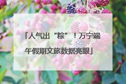 人气出“粽”！万宁端午假期文旅数据亮眼