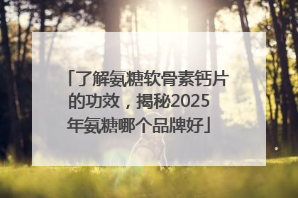 了解氨糖软骨素钙片的功效，揭秘2025年氨糖哪个品牌好