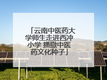 云南中医药大学师生走进西冲小学 播撒中医药文化种子