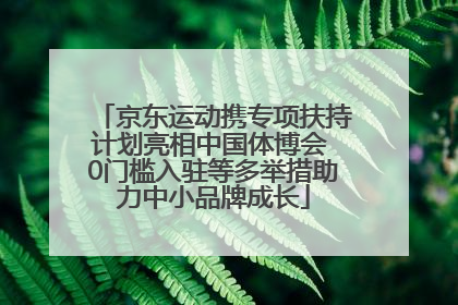 京东运动携专项扶持计划亮相中国体博会 0门槛入驻等多举措助力中小品牌成长