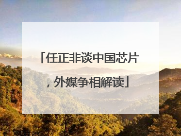 任正非谈中国芯片，外媒争相解读