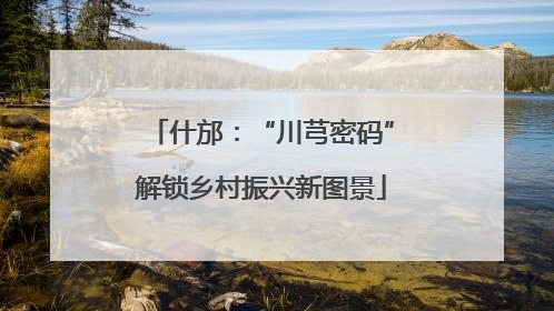 什邡：“川芎密码”解锁乡村振兴新图景