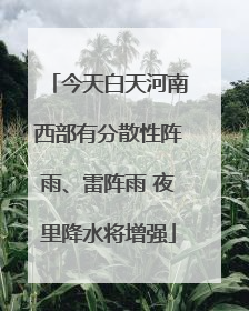 今天白天河南西部有分散性阵雨、雷阵雨 夜里降水将增强