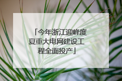 今年浙江迎峰度夏重大电网建设工程全面投产