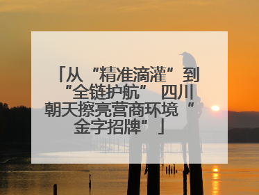 从“精准滴灌”到“全链护航” 四川朝天擦亮营商环境“金字招牌”