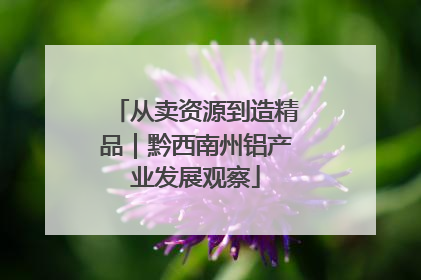 从卖资源到造精品｜黔西南州铝产业发展观察